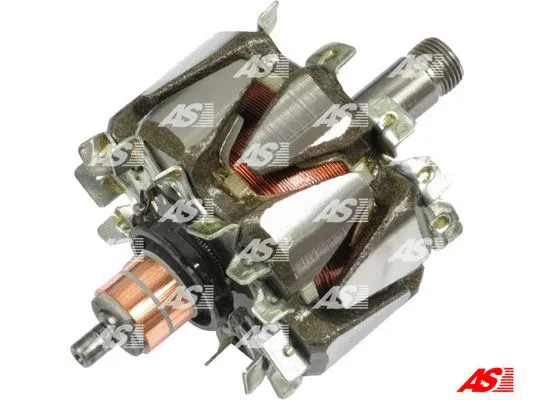 Rotor, alternator (AR5014)