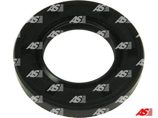 Repair Set, alternator (SRS5073S)