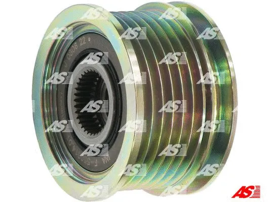 Alternator Freewheel Clutch (AFP3031(INA))