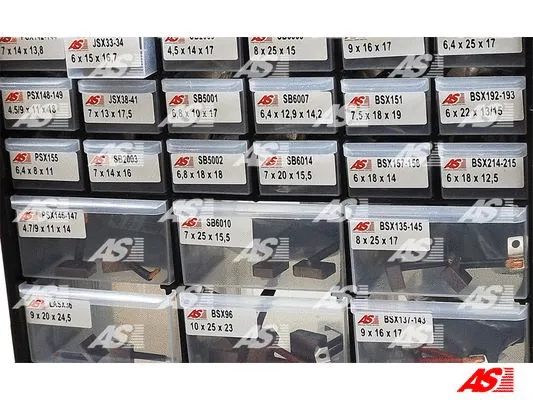 Carbon Brush, starter