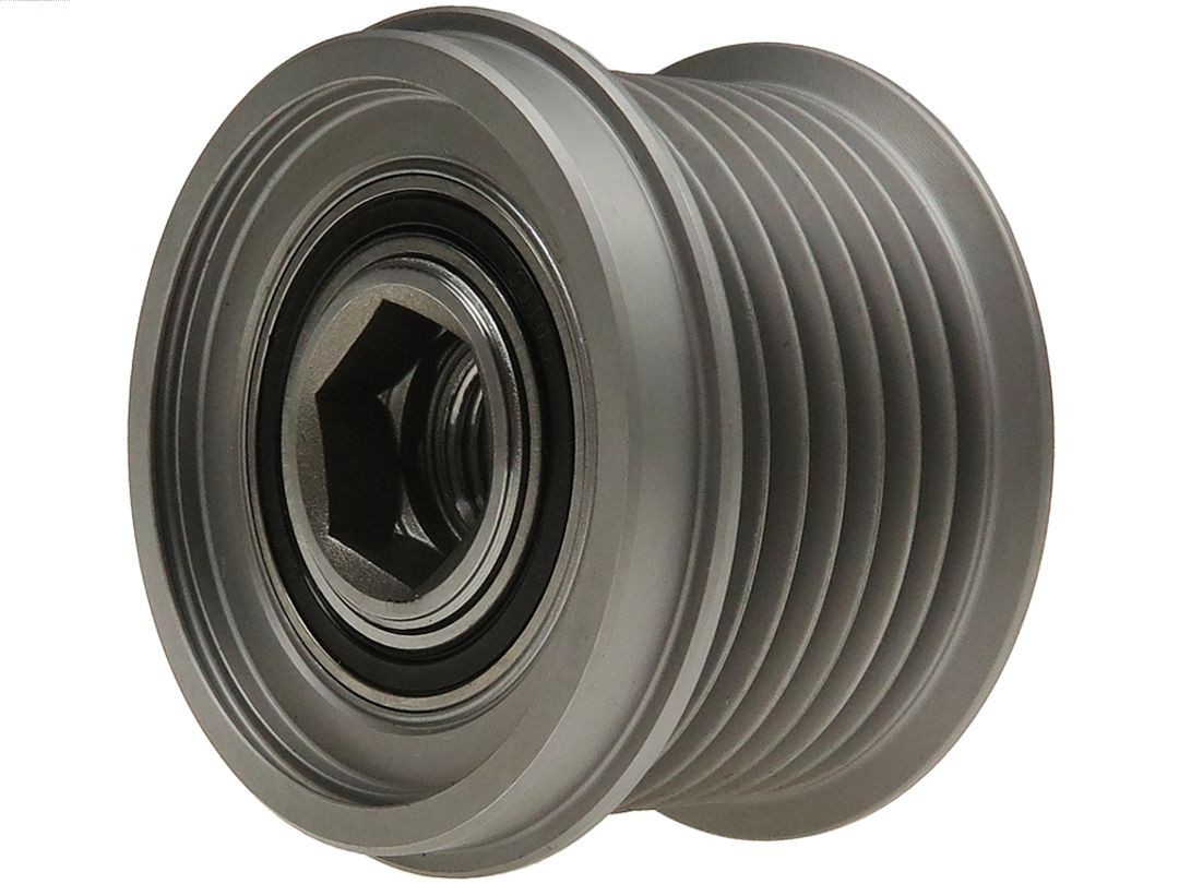 Alternator Freewheel Clutch (AFP6098S)