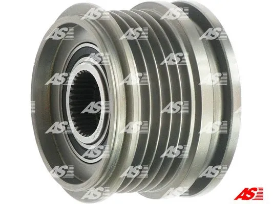 Alternator Freewheel Clutch (AFP0001(V))