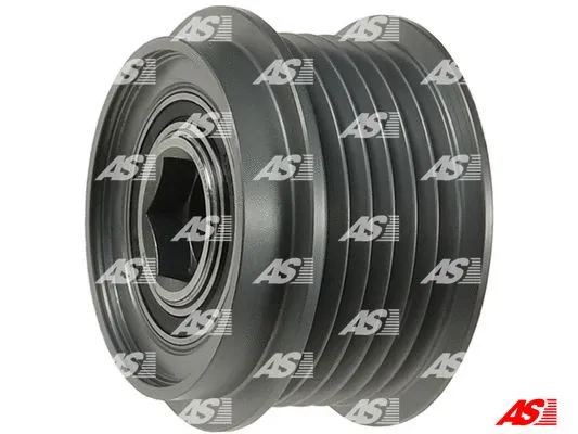 Alternator Freewheel Clutch (AFP6083S)