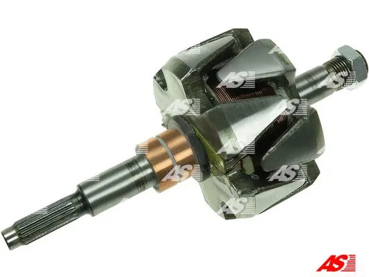 Rotor, alternator (AR4001)