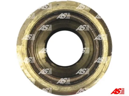 Freewheel Gear, starter