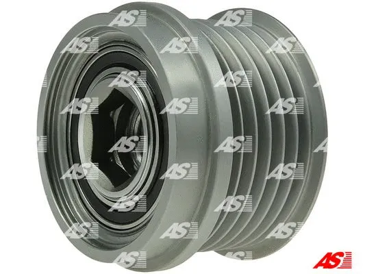 Alternator Freewheel Clutch (AFP6051S)