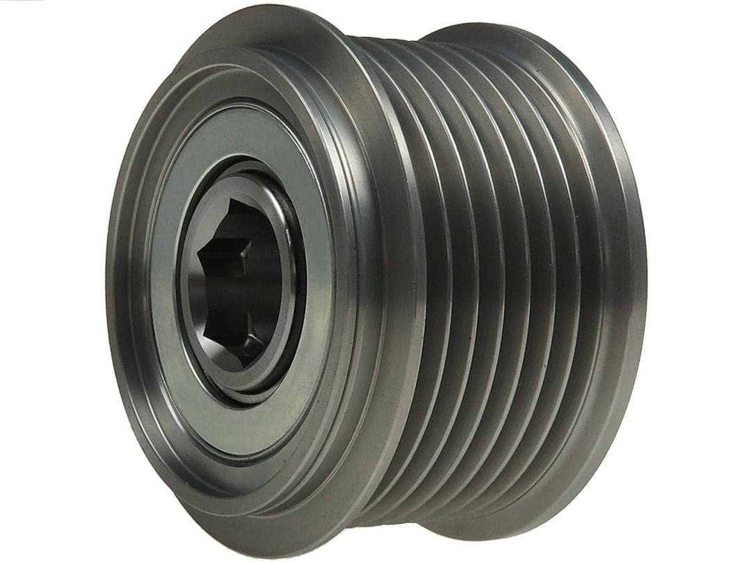 Alternator Freewheel Clutch (AFP6023)