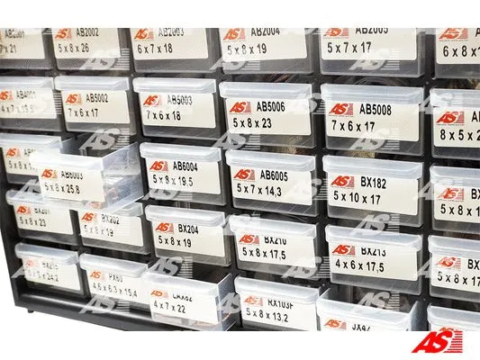 Carbon Brush, alternator