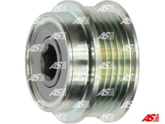Alternator Freewheel Clutch (AFP6019)