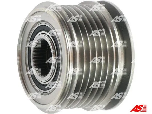 Alternator Freewheel Clutch (AFP3018(V))