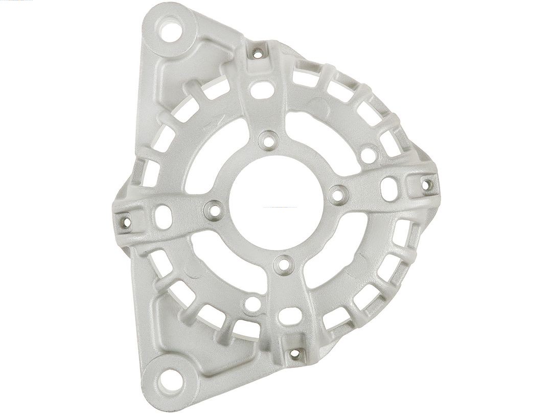 Bracket, alternator drive flange (ABR0168S)