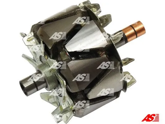 Rotor, alternator (AR6020)