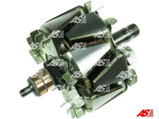 Rotor, alternator (AR5010)