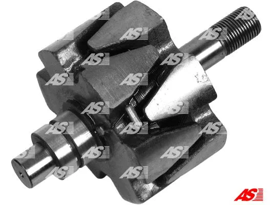 Rotor, alternator (AR4004)