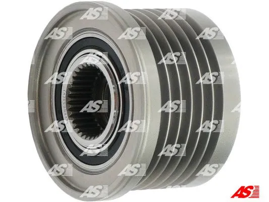 Alternator Freewheel Clutch (AFP0055(V))