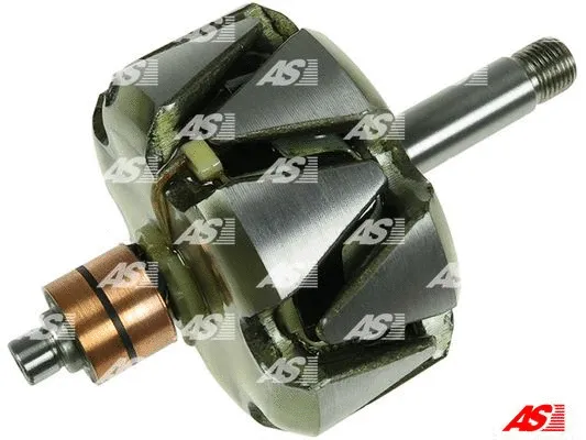 Rotor, alternator (AR0081S)
