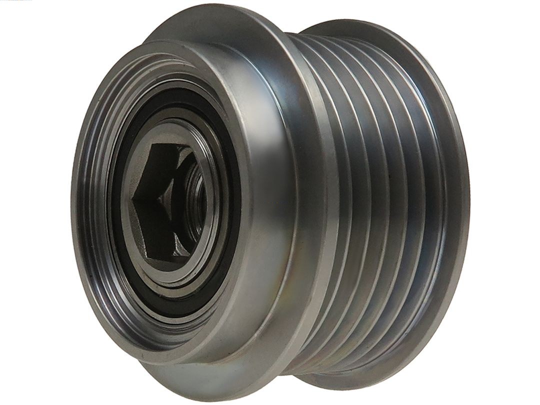 Alternator Freewheel Clutch (AFP6100S)