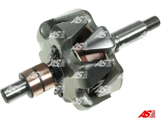 Rotor, alternator (AR1012S)