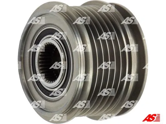 Alternator Freewheel Clutch (AFP0010(V))