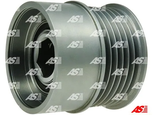 Alternator Freewheel Clutch (AFP5022S)