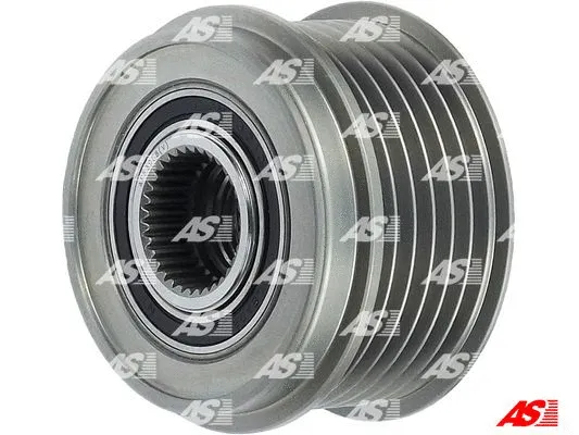 Alternator Freewheel Clutch (AFP3008(V))