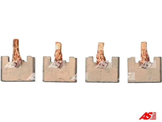 Carbon Brush, starter (BSX202-203)