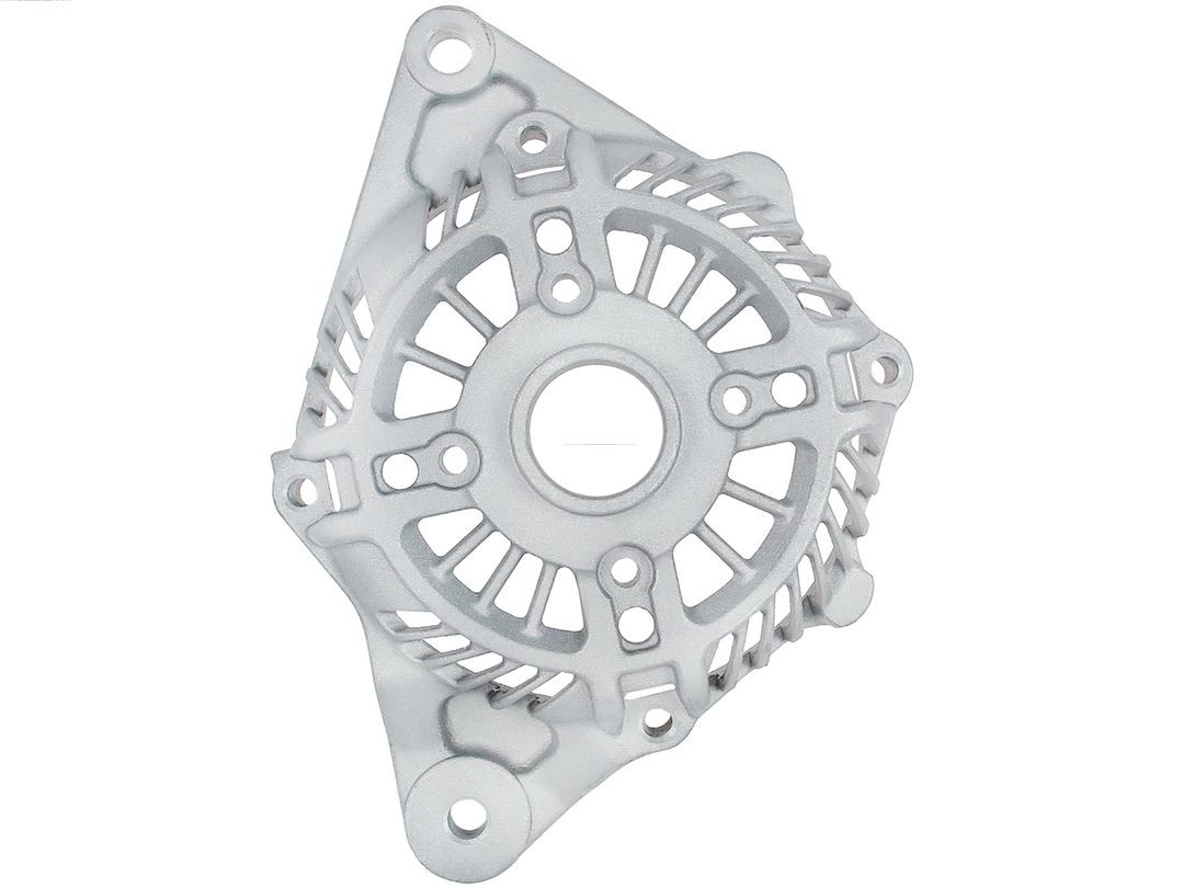 Bracket, alternator drive flange (ABR5189S)