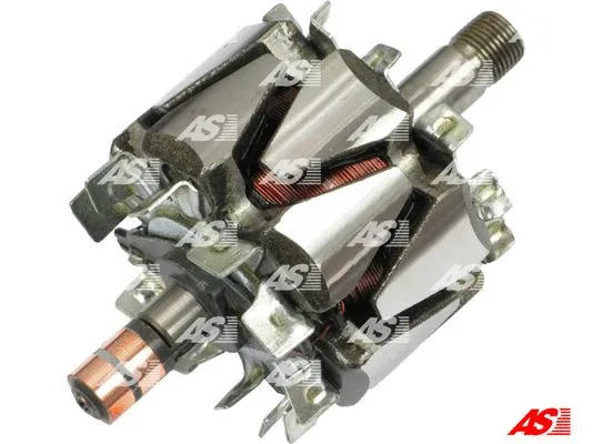 Rotor, alternator (AR6010)