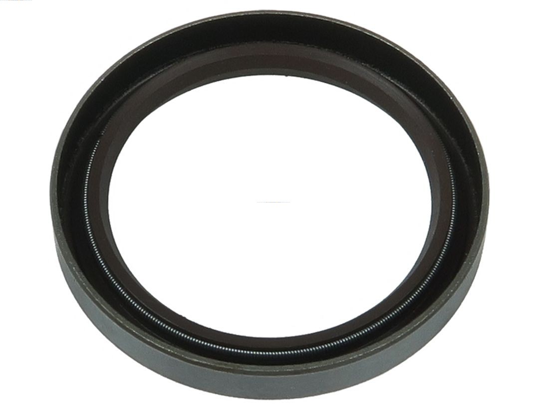 Repair Set, alternator (SRS0229S)