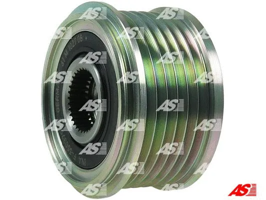 Alternator Freewheel Clutch (AFP5005(INA))