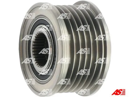 Alternator Freewheel Clutch (AFP0045(V))
