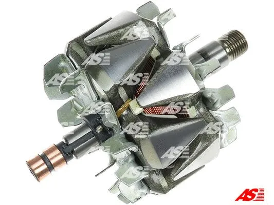 Rotor, alternator (AR0096S)
