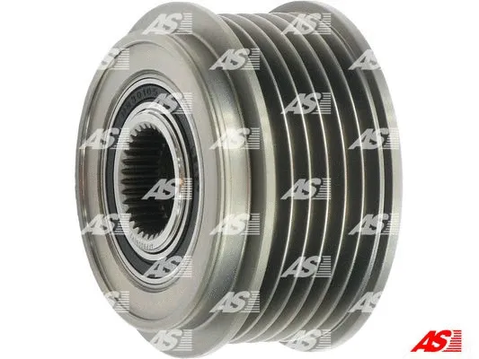 Alternator Freewheel Clutch (AFP9006(V))