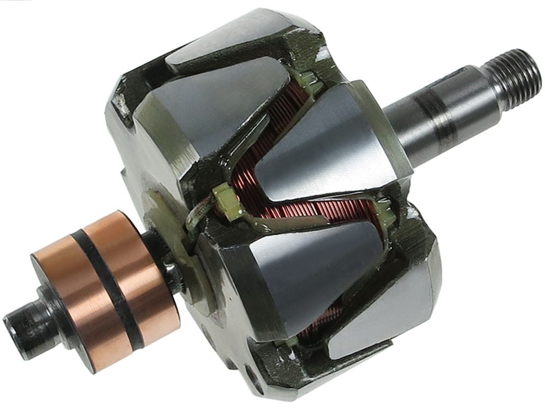 Rotor, alternator (AR9045S)