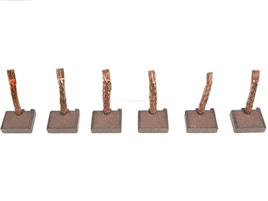 Carbon Brush, starter (BSX228)