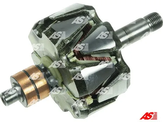 Rotor, alternator (AR0071)