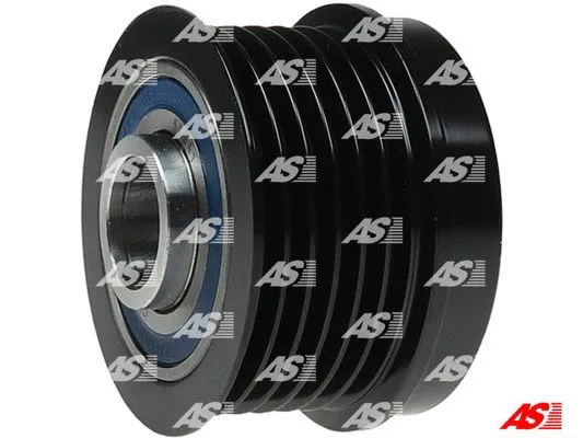 Alternator Freewheel Clutch