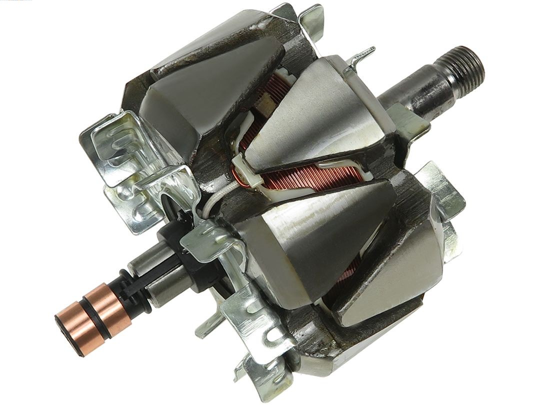 Rotor, alternator (AR0037)