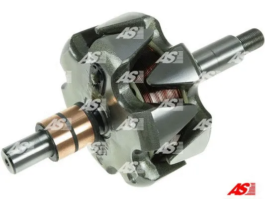 Rotor, alternator (AR1011S)