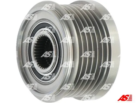 Alternator Freewheel Clutch (AFP6004(V))