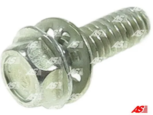 Repair Set, alternator (SRS1005)