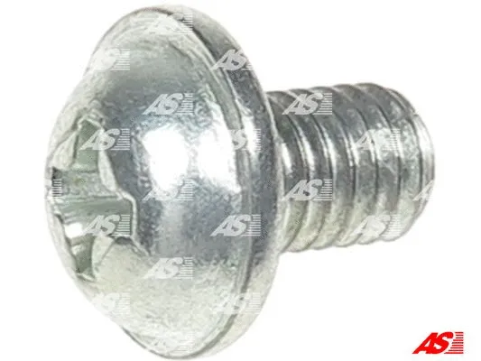 Repair Set, alternator (SRS6010)