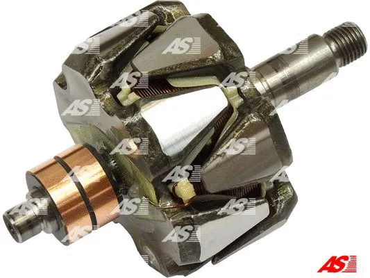 Rotor, alternator (AR9009)