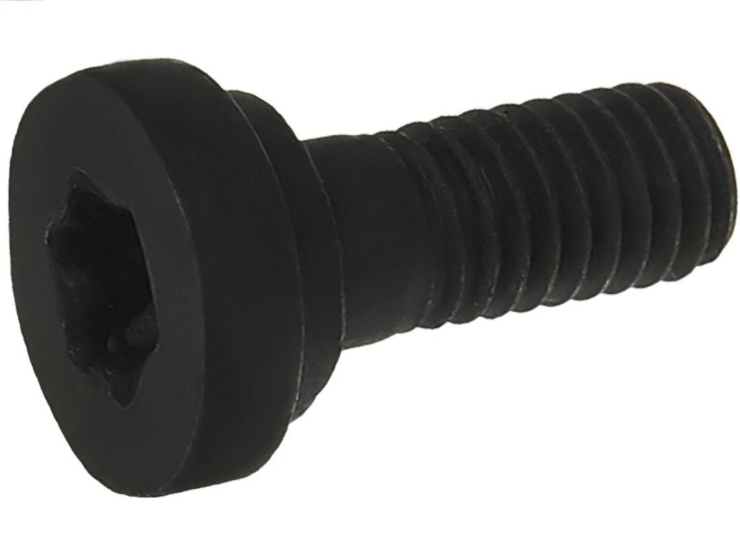 Repair Set, alternator (SRS3100S)