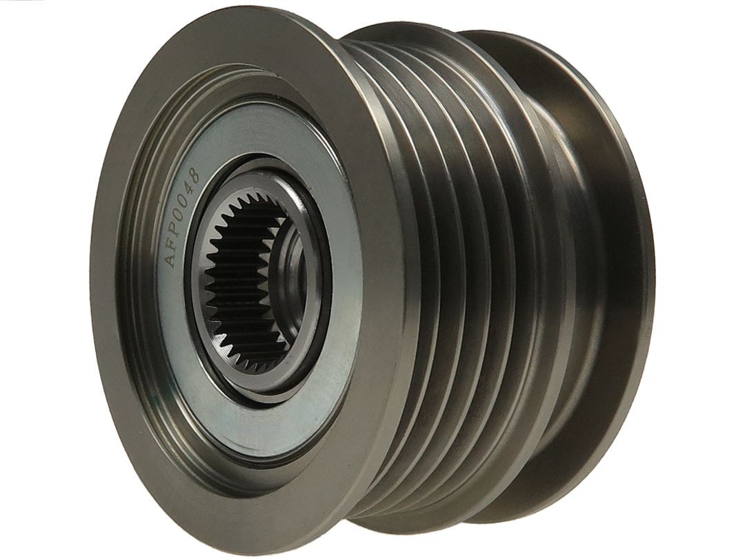 Alternator Freewheel Clutch (AFP0048)