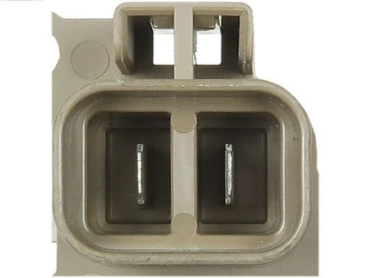 Alternator Regulator
