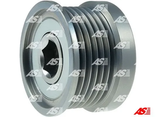 Alternator Freewheel Clutch (AFP6044)