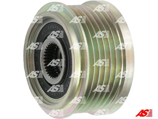 Alternator Freewheel Clutch (AFP1003(INA))