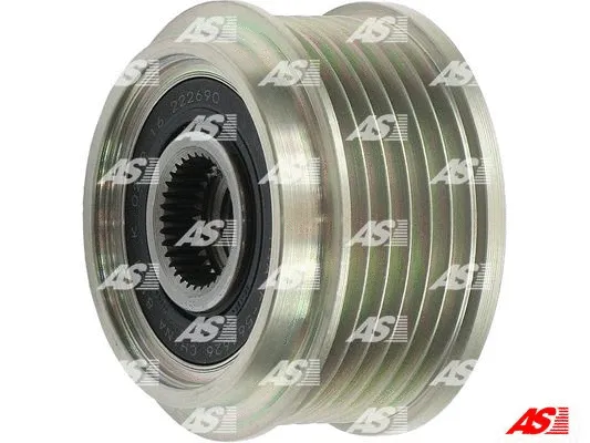 Alternator Freewheel Clutch (AFP1004(INA))