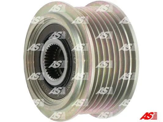 Alternator Freewheel Clutch (AFP6021(INA))